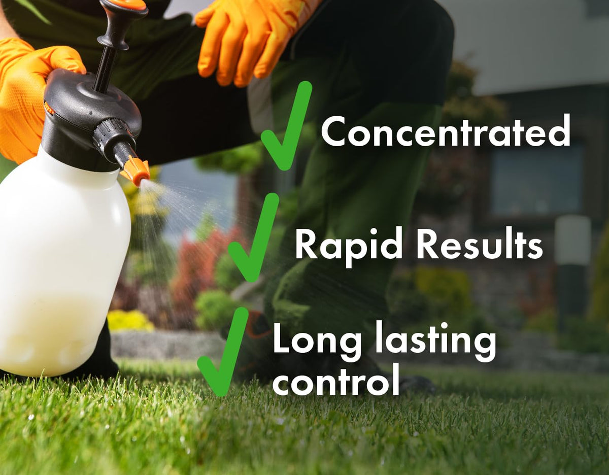 Concentrated Broad Spectrum Lawn Weed Killer G7999