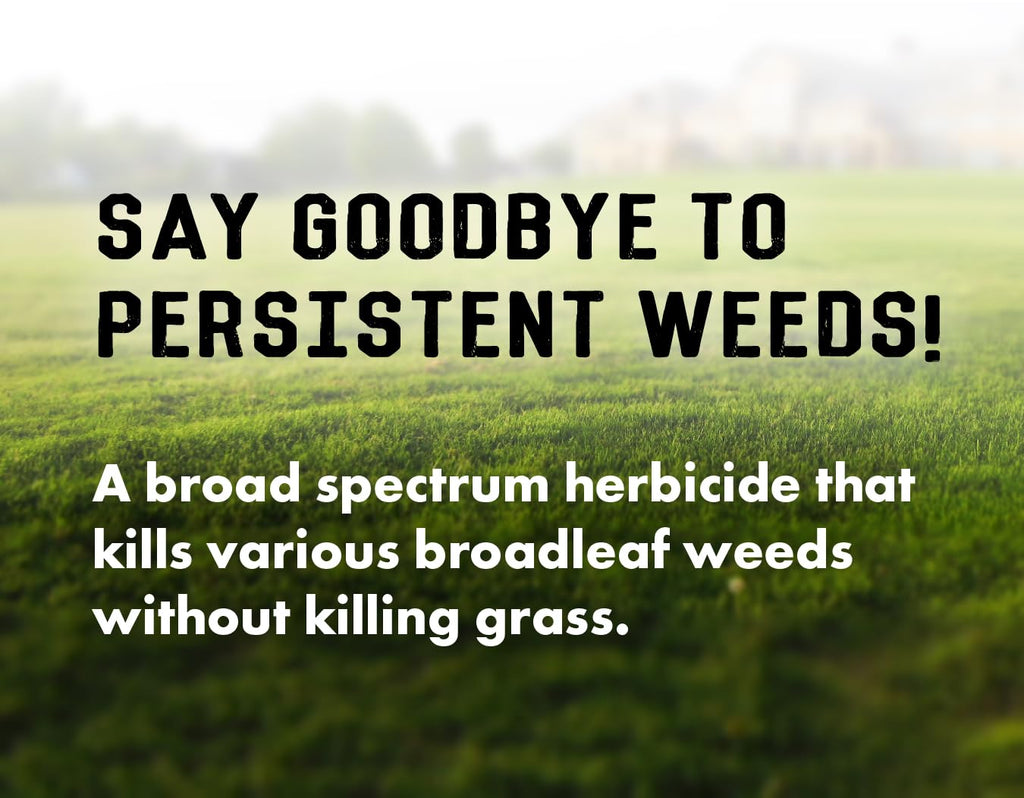 Concentrated Broad Spectrum Lawn Weed Killer G7999