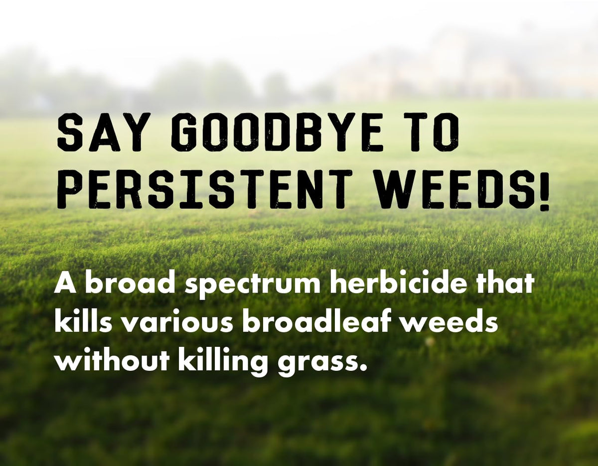 Concentrated Broad Spectrum Lawn Weed Killer G7999