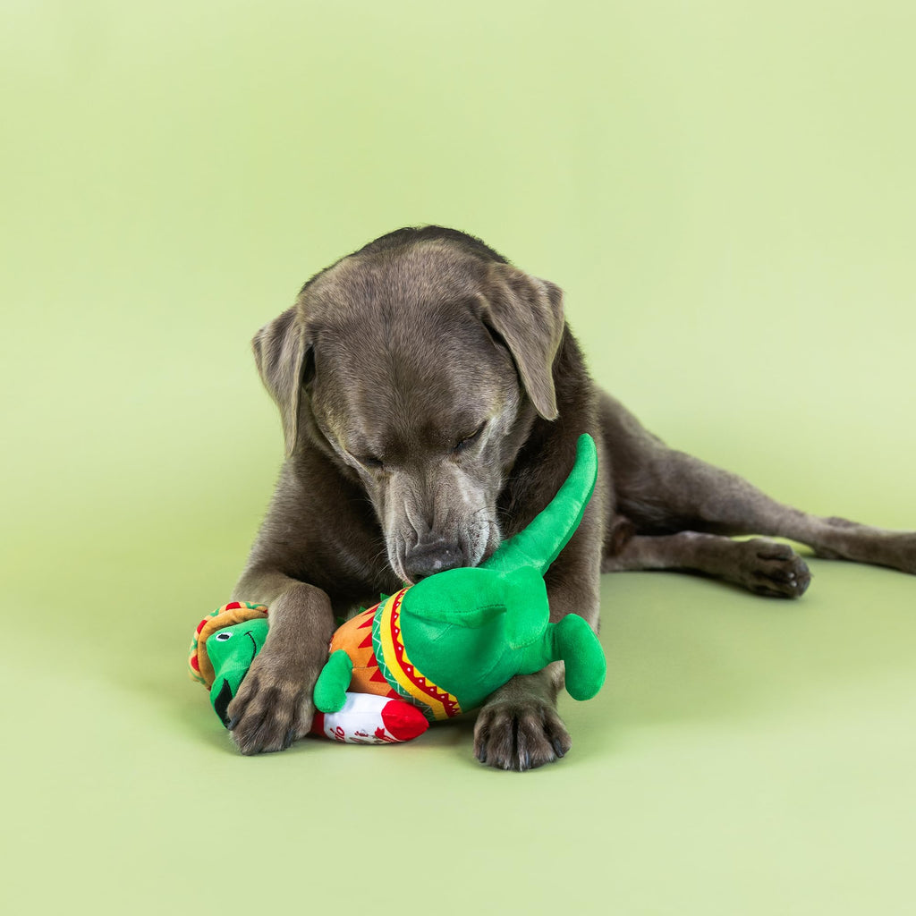 Plush Dog Toy C6552