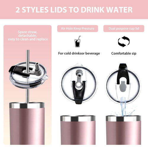 20 oz Insulated Tumbler with Straw Lid H60605