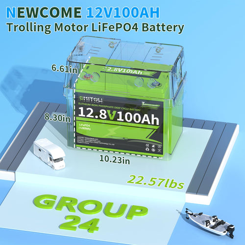 12V 100Ah LiFePO4 Battery with 100A BMS Y7581