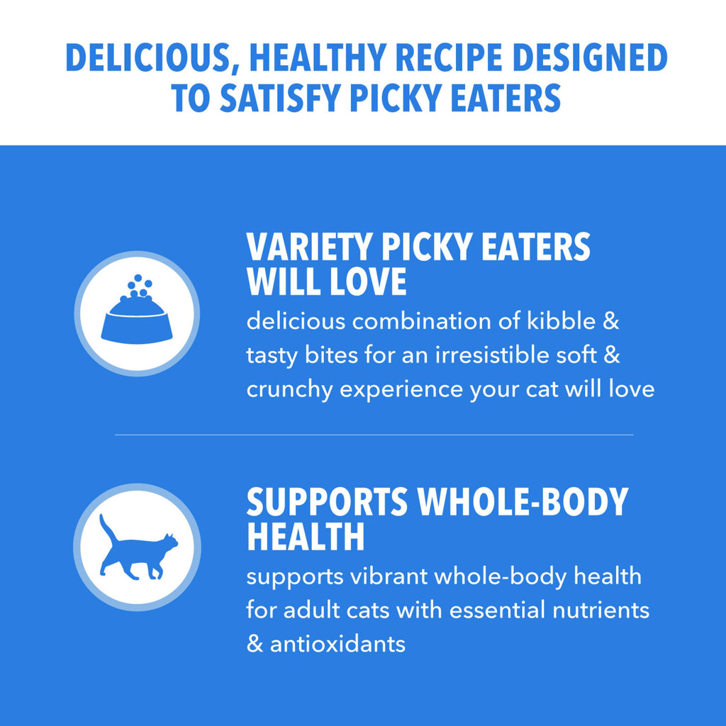 Dry Cat Food Chicken & Salmon Recipe 3 lb R452