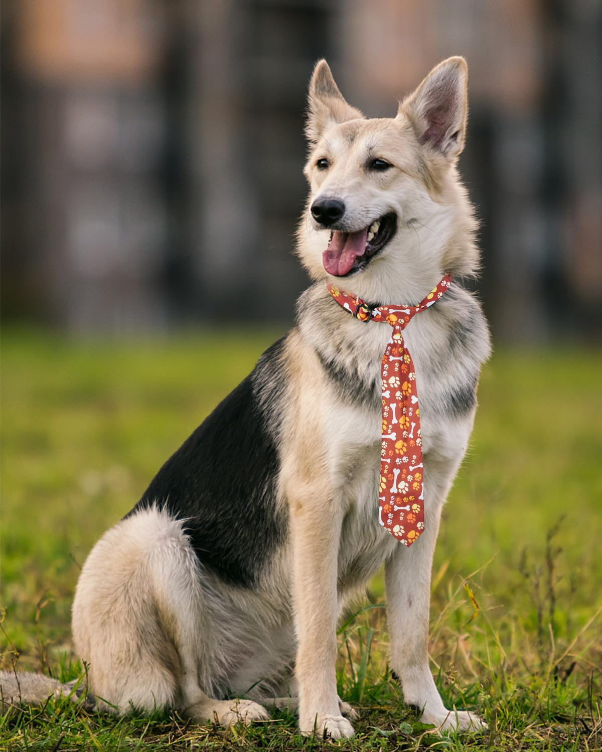 60 Pack Paw Print Dog Bowties and Ties B74602