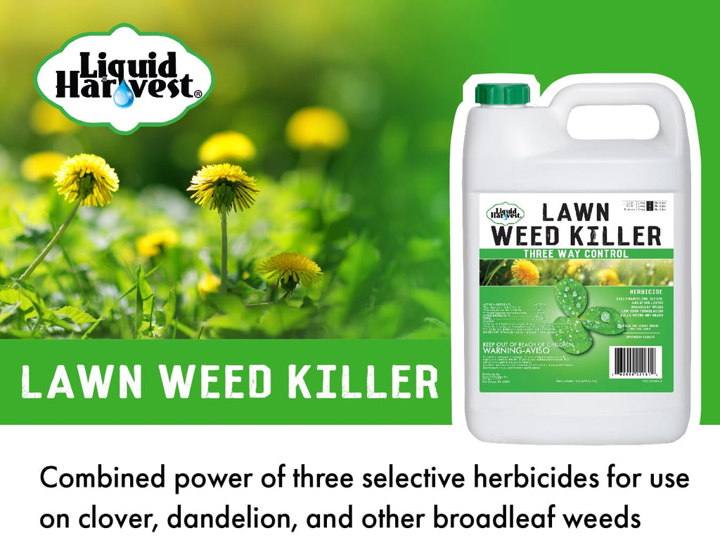 Concentrated Broad Spectrum Lawn Weed Killer G7999