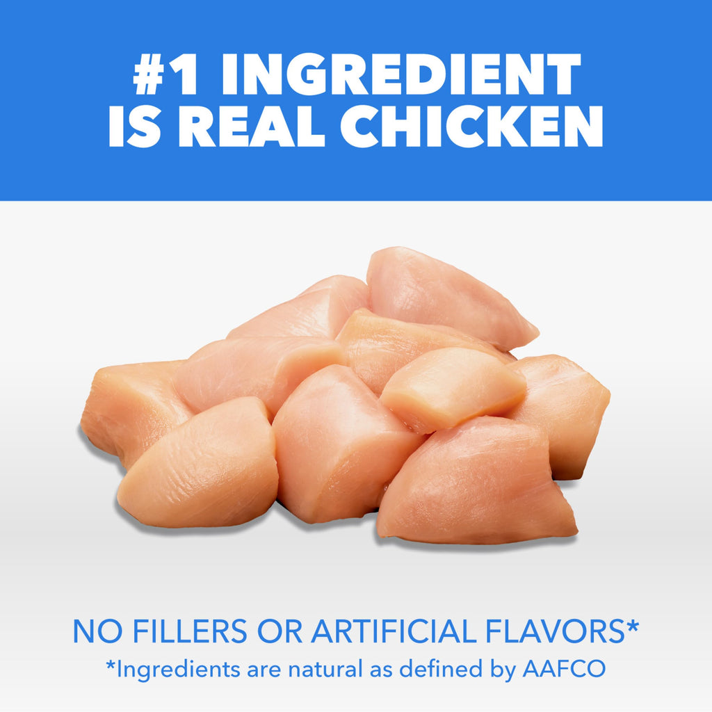 Dry Cat Food Chicken & Salmon Recipe 3 lb R452
