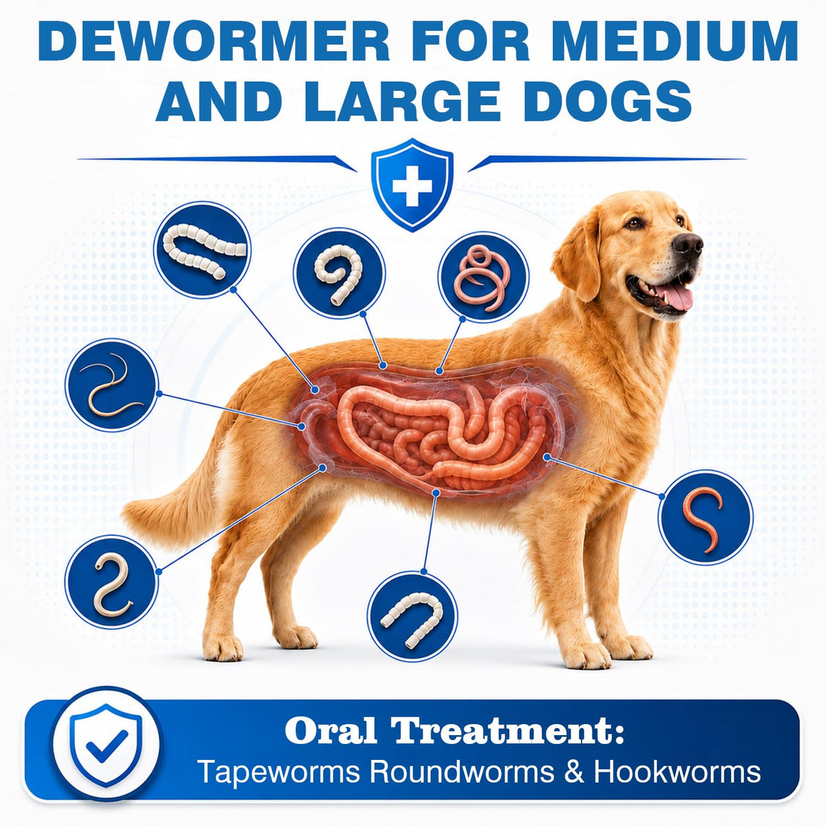 Dog Tapeworm Roundworm & Hookworm Oral Treatment Tablets R838522