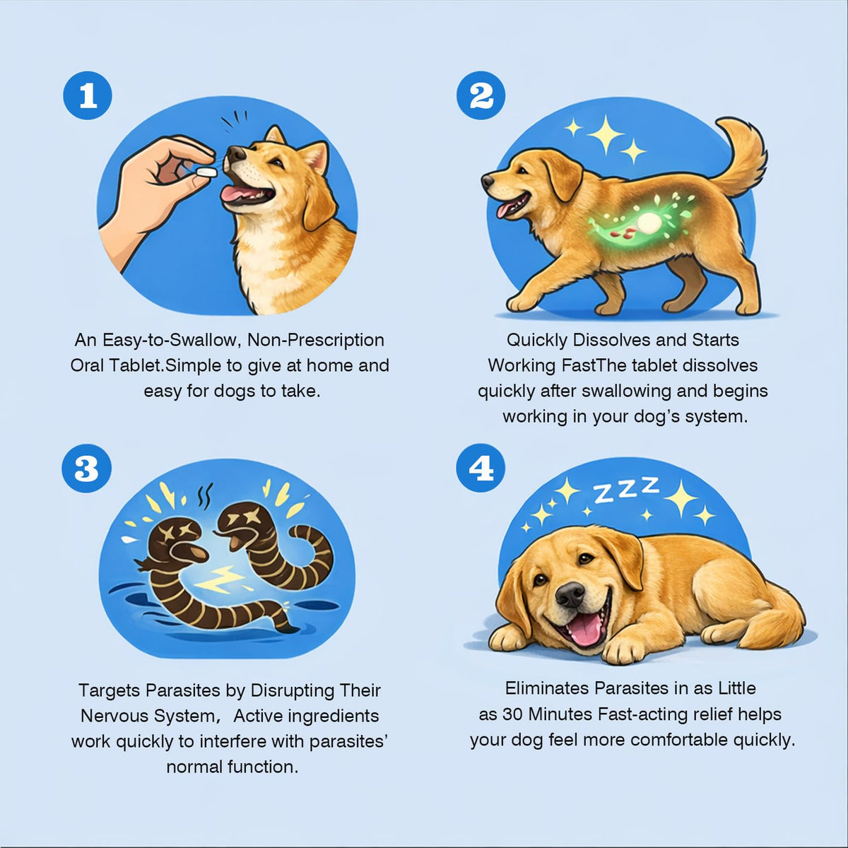Dog Tapeworm Roundworm & Hookworm Oral Treatment Tablets R838522
