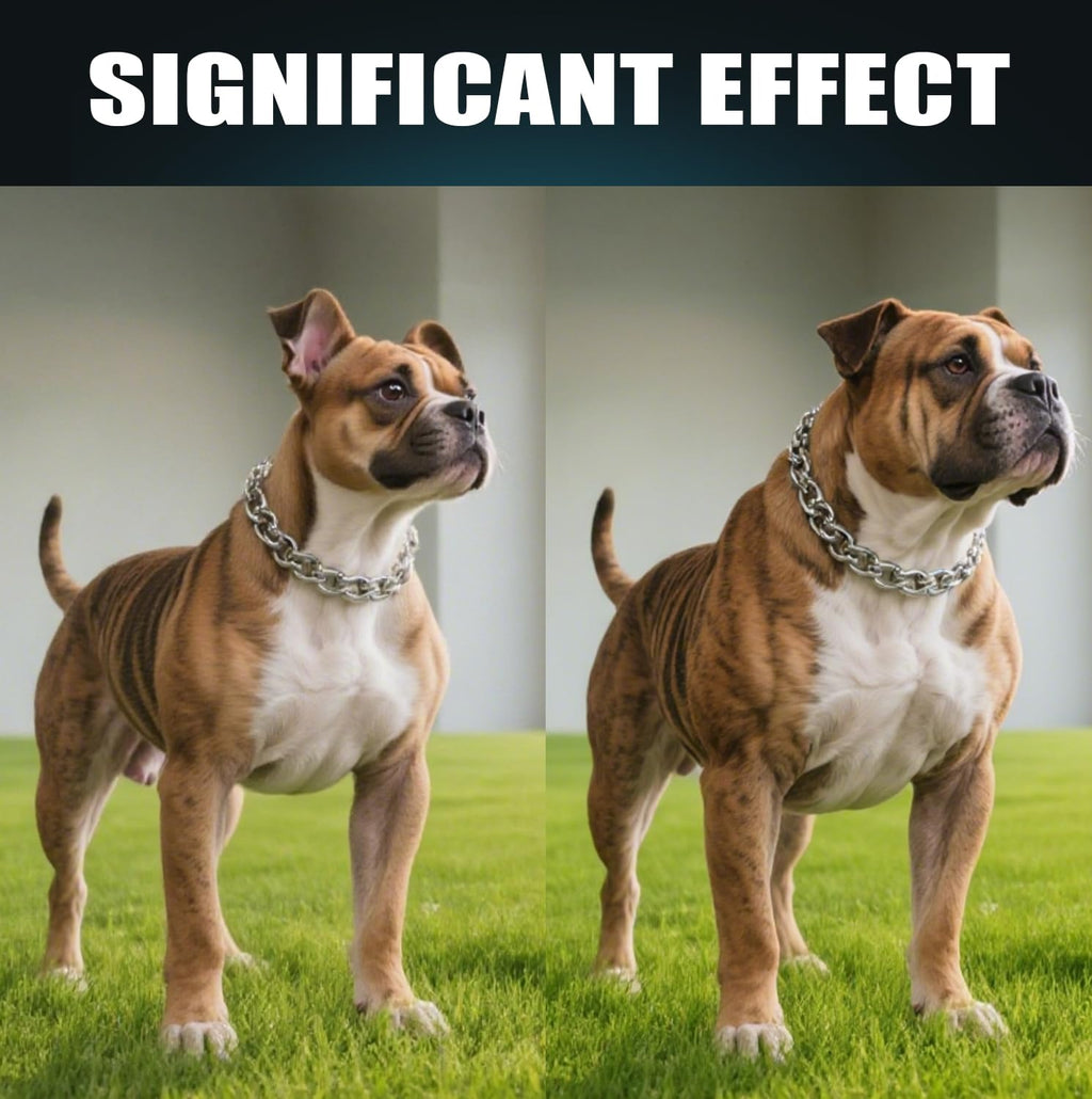 High Protein Dog Weight Gainer Y83849