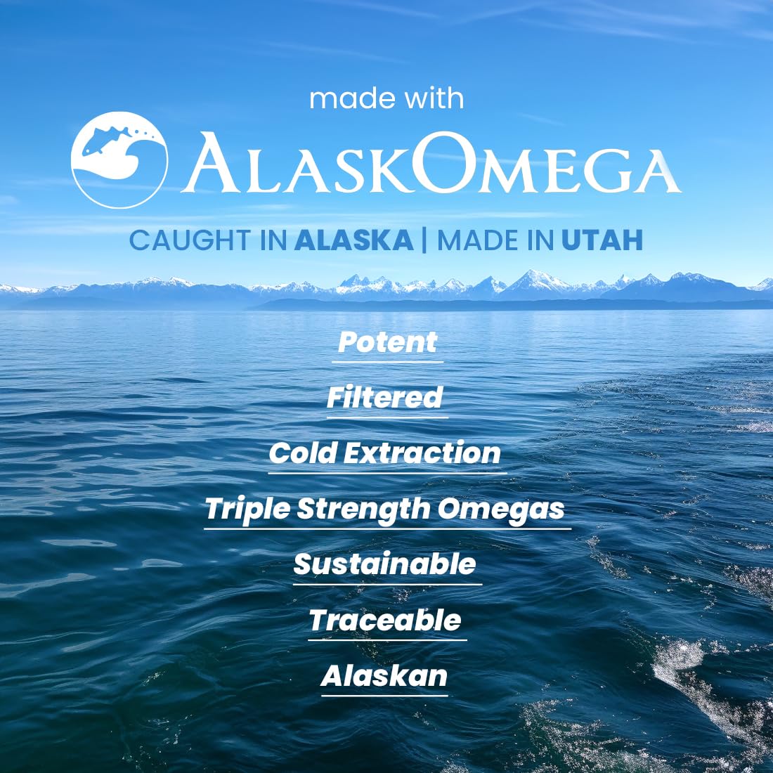 Omega-3 Fish Oil 300 Softgels E9503