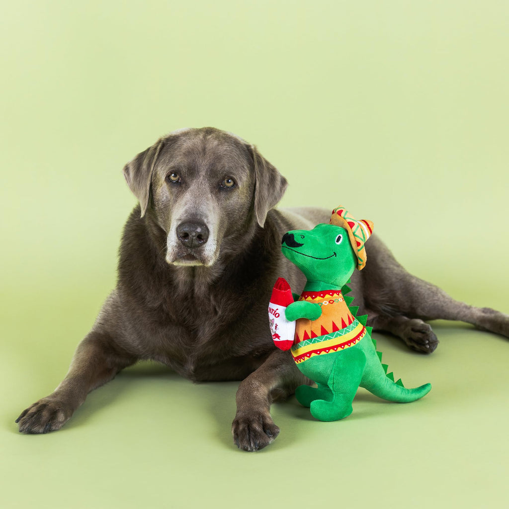 Plush Dog Toy C6552