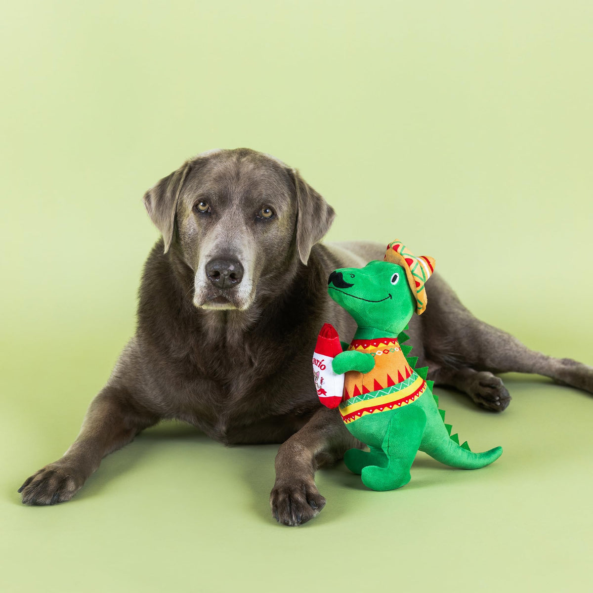 Plush Dog Toy C6552