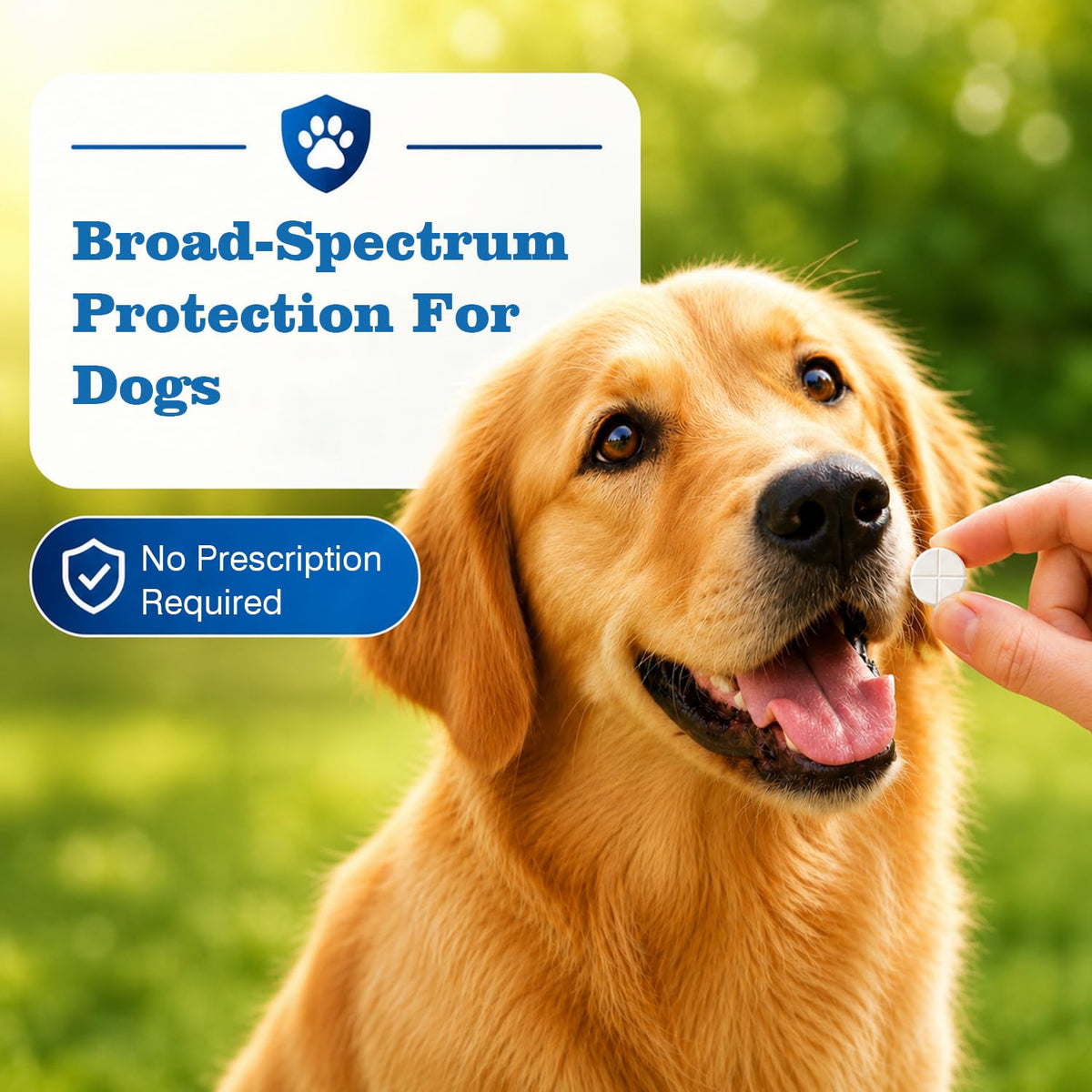 Dog Tapeworm Roundworm & Hookworm Oral Treatment Tablets R838522