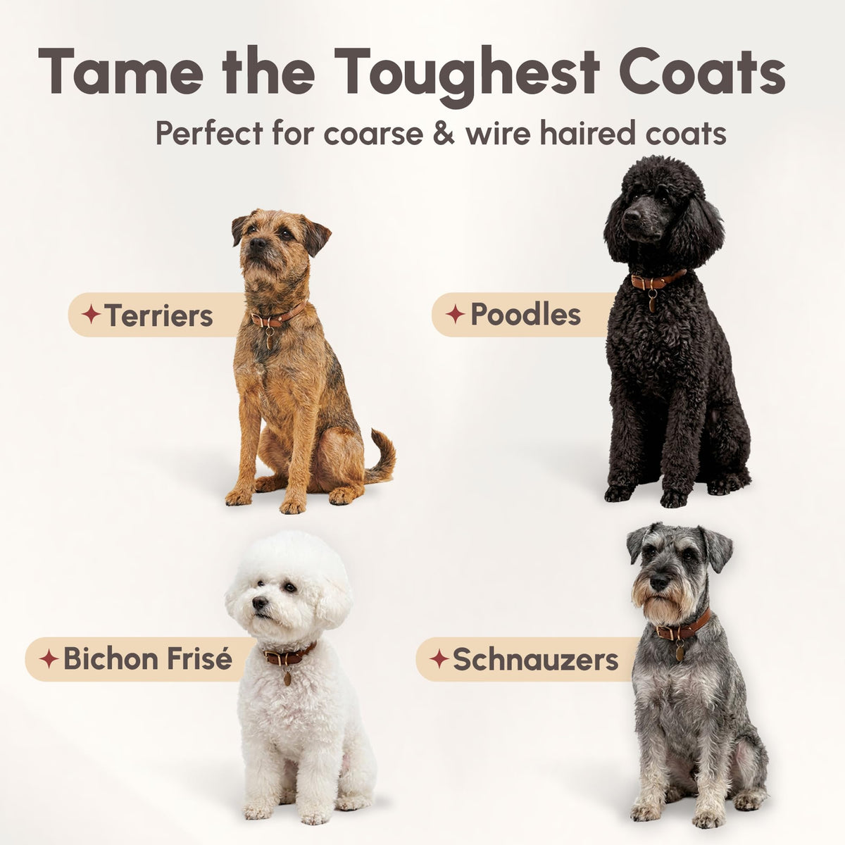 4-in-1 Pet Shampoo 1.1 Gallon G91568