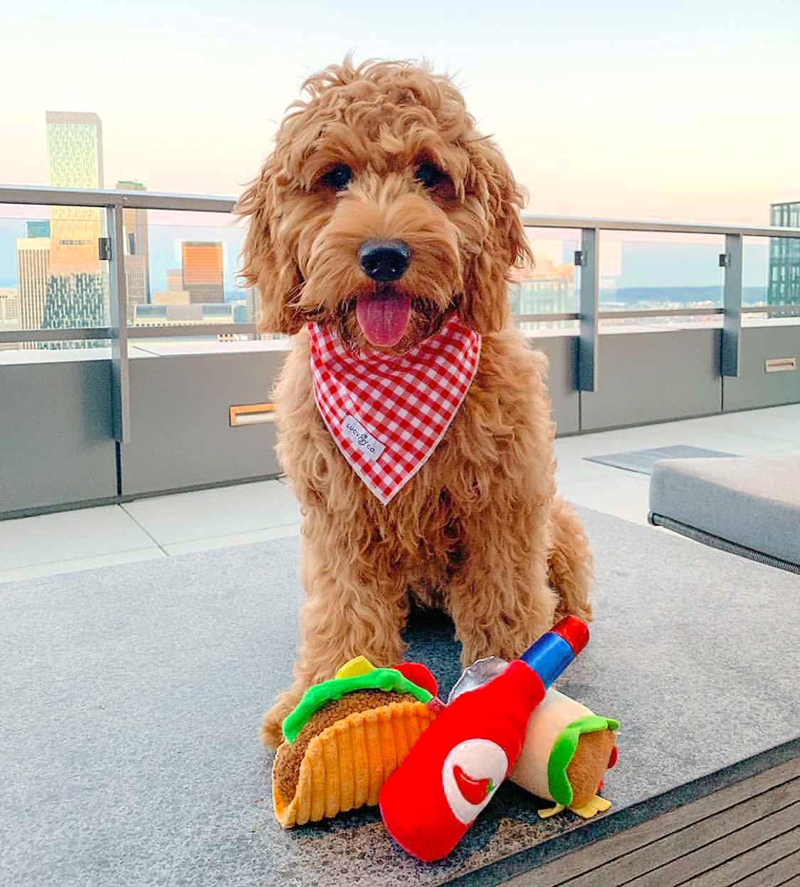 Plush Dog Toys Z97300