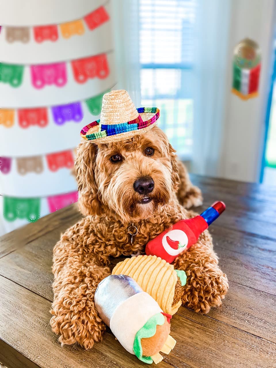 Plush Dog Toys Z97300