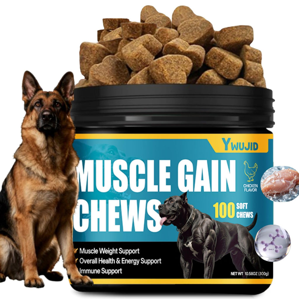 High Protein Dog Weight Gainer Y83849