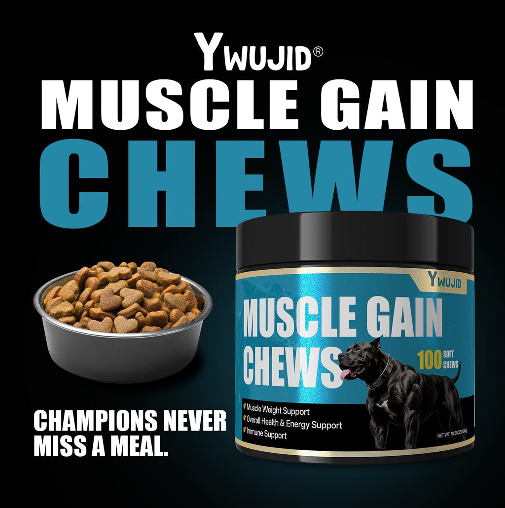 High Protein Dog Weight Gainer Y83849