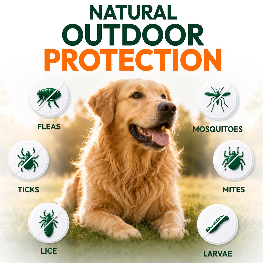 Flea and Tick Prevention for Dogs Soft Chewables Y476