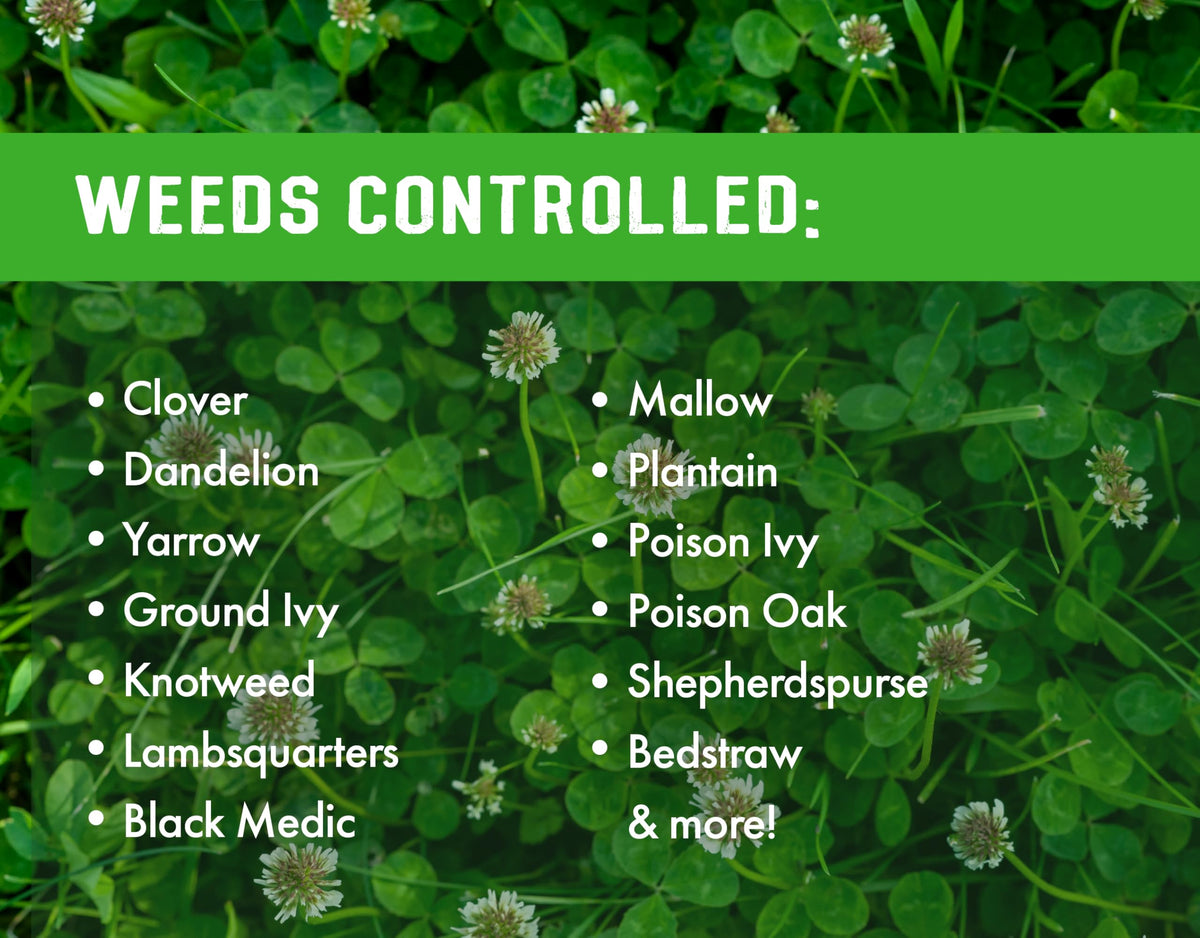 Concentrated Broad Spectrum Lawn Weed Killer G7999