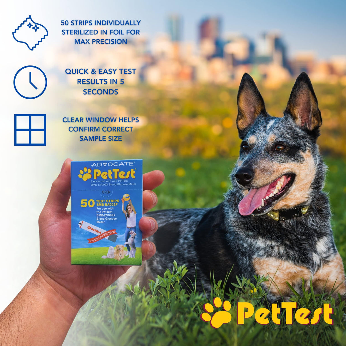 Blood Glucose Test Strips for Dogs & Cats, 50 M41729