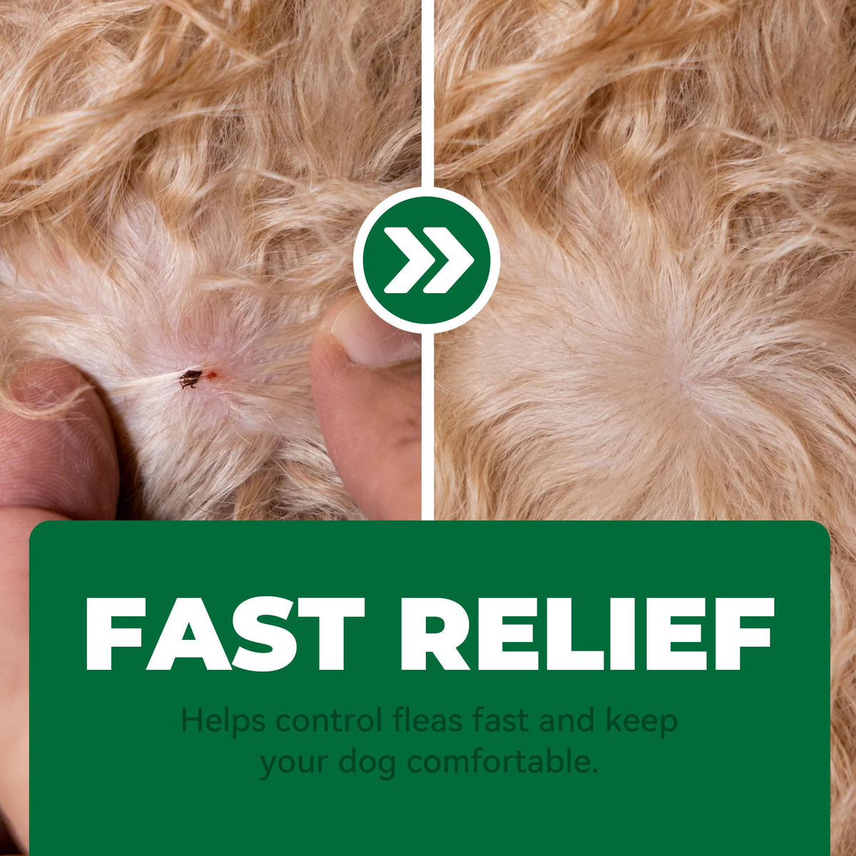 Flea and Tick Chews for Dogs 7.5 mg Soft Chews 30 Count E206