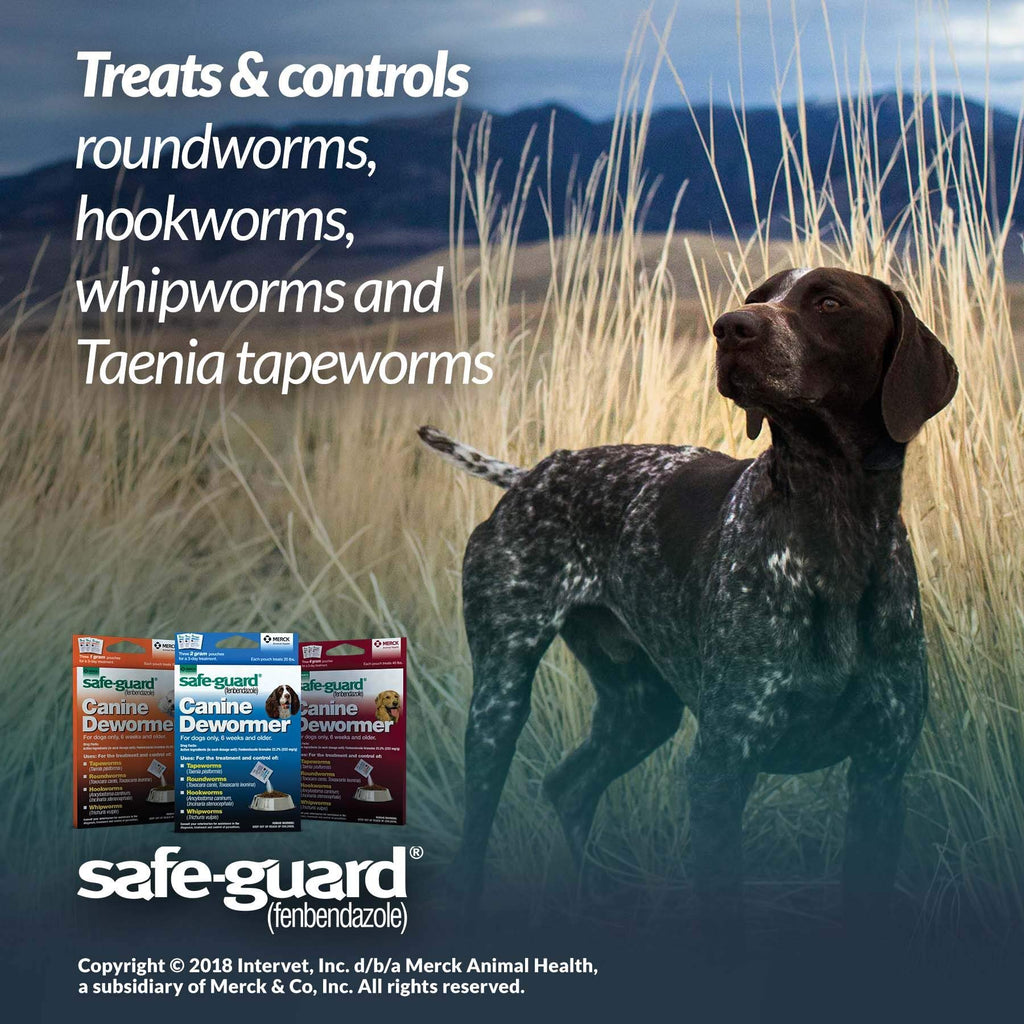 Canine Dewormer 2gm Pouch Pack of 3 U200446