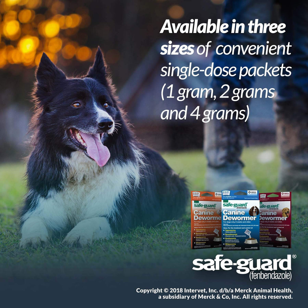 Canine Dewormer 2gm Pouch Pack of 3 U200446