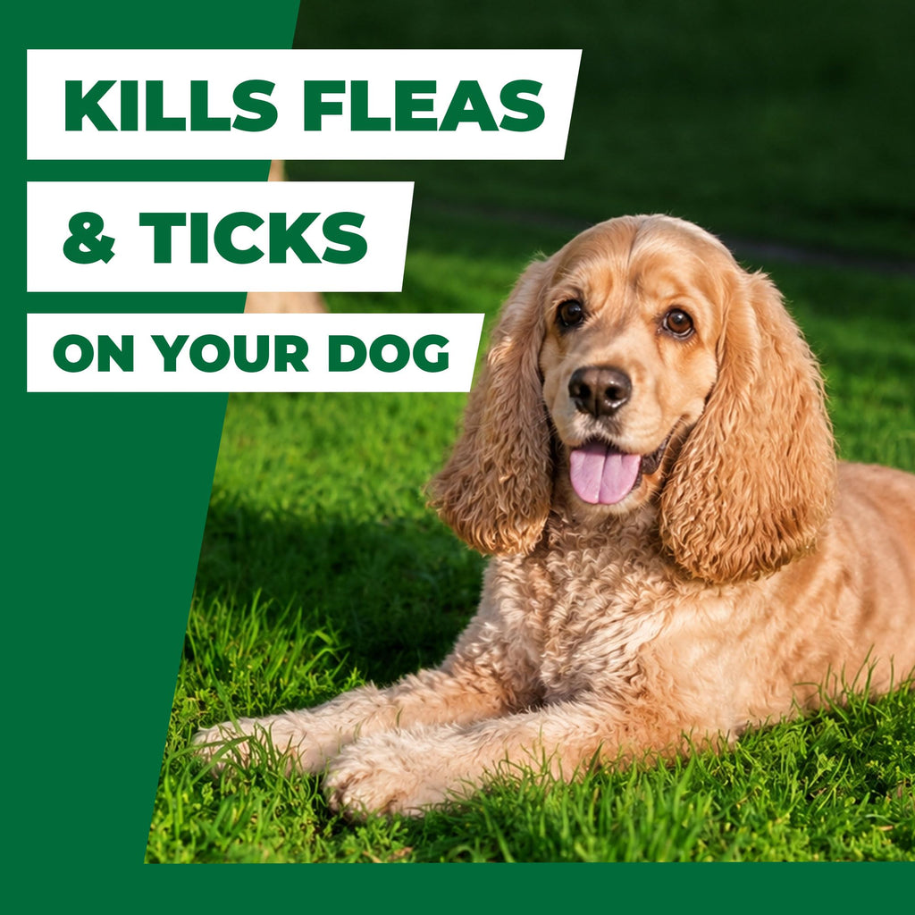 Flea and Tick Chews for Dogs 7.5 mg Soft Chews 30 Count E206