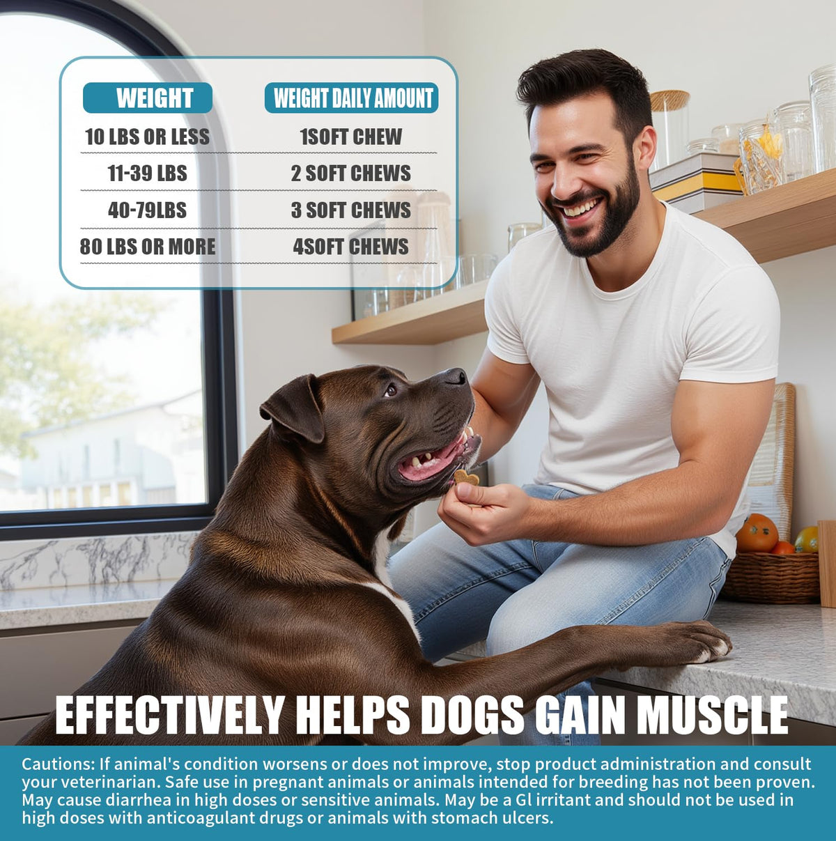High Protein Dog Weight Gainer Y83849