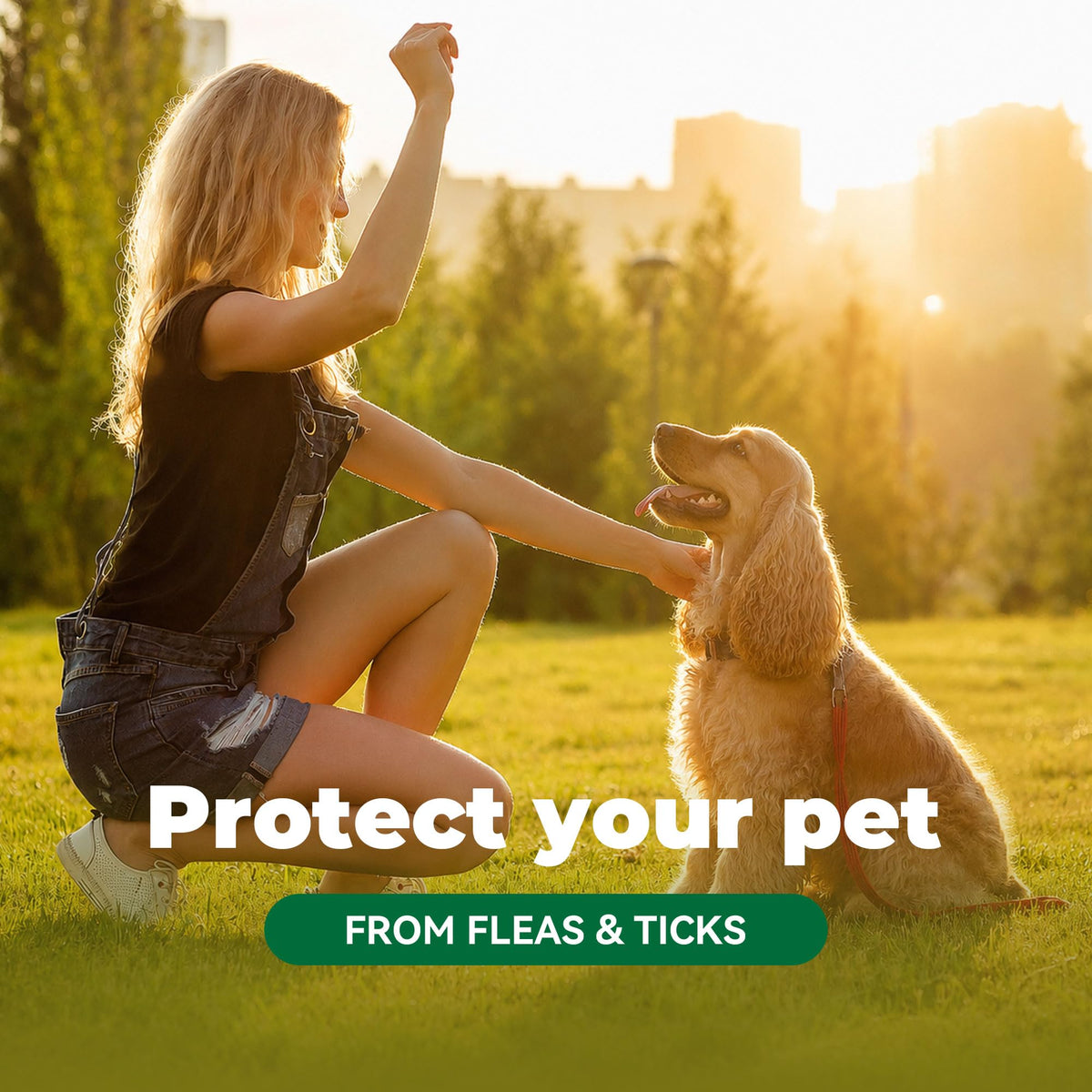 Flea and Tick Chews for Dogs 7.5 mg Soft Chews 30 Count E206
