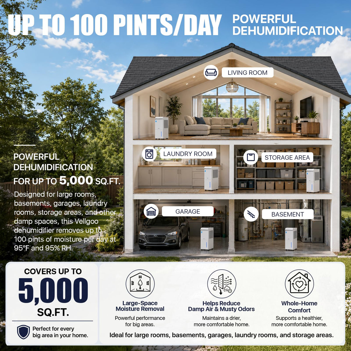 100 Pint/Day Dehumidifier B837
