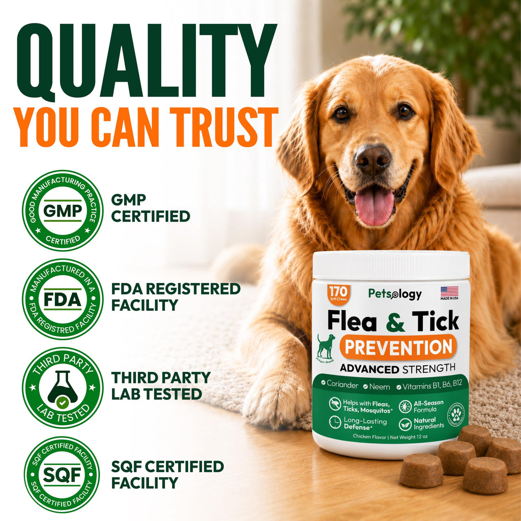 Flea and Tick Prevention for Dogs Soft Chewables Y476