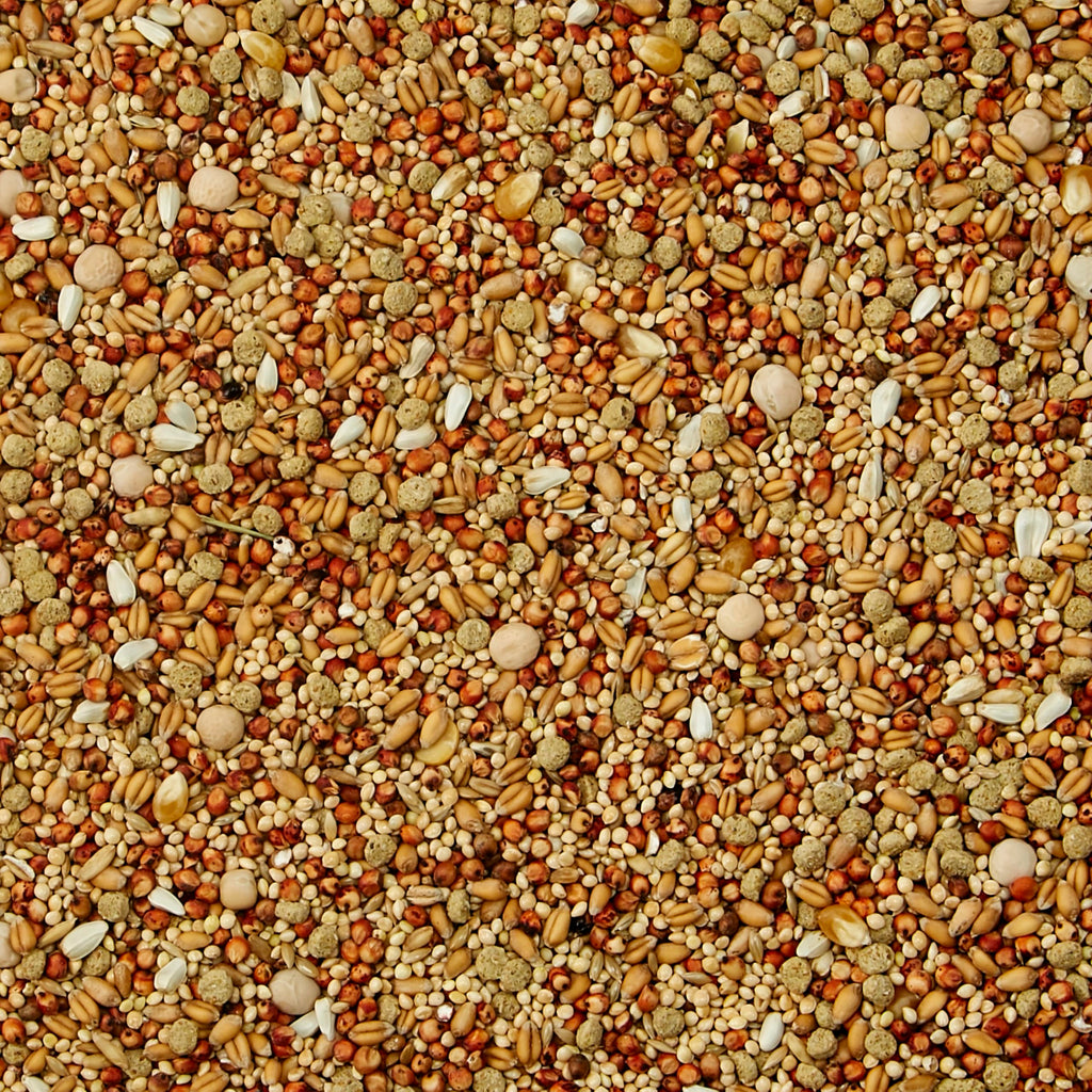 Dove Bird Seed 20 Pounds P11388